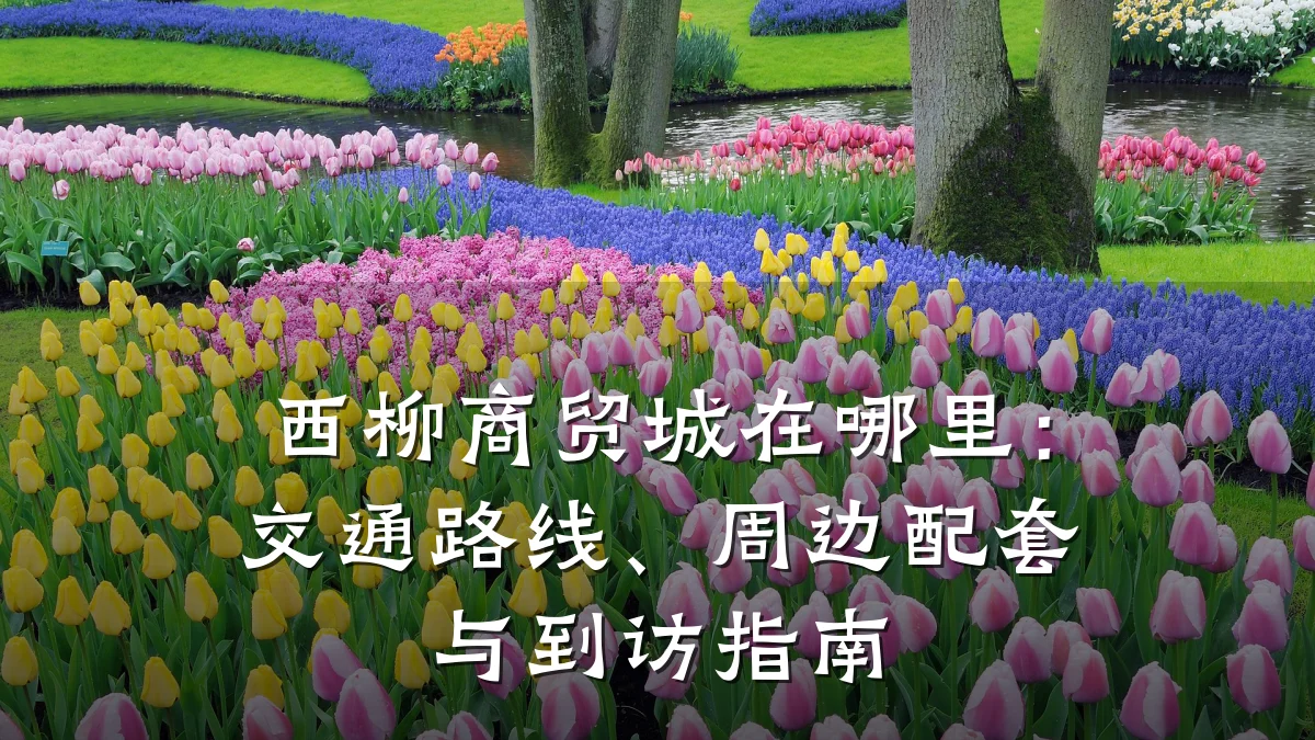西柳商贸城在哪里:交通路线、周边配套与到访指南