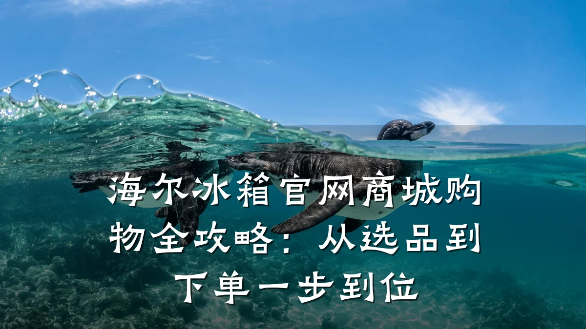 海尔冰箱官网商城购物全攻略：从选品到下单一步到位