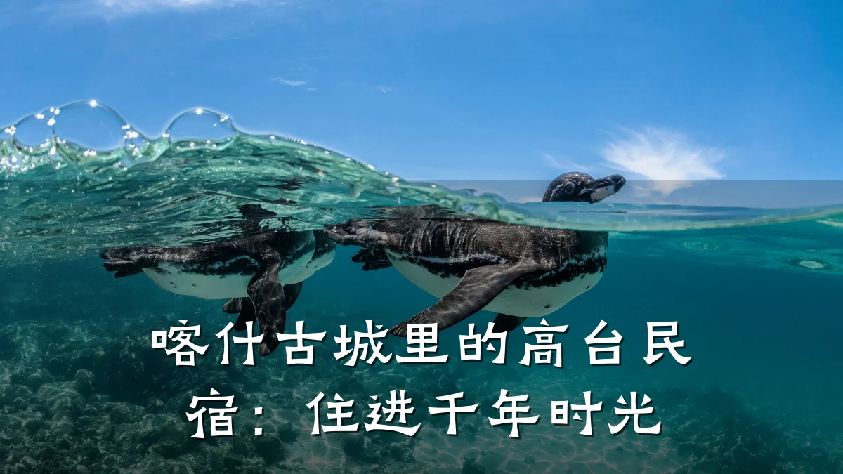喀什古城里的高台民宿:住进千年时光