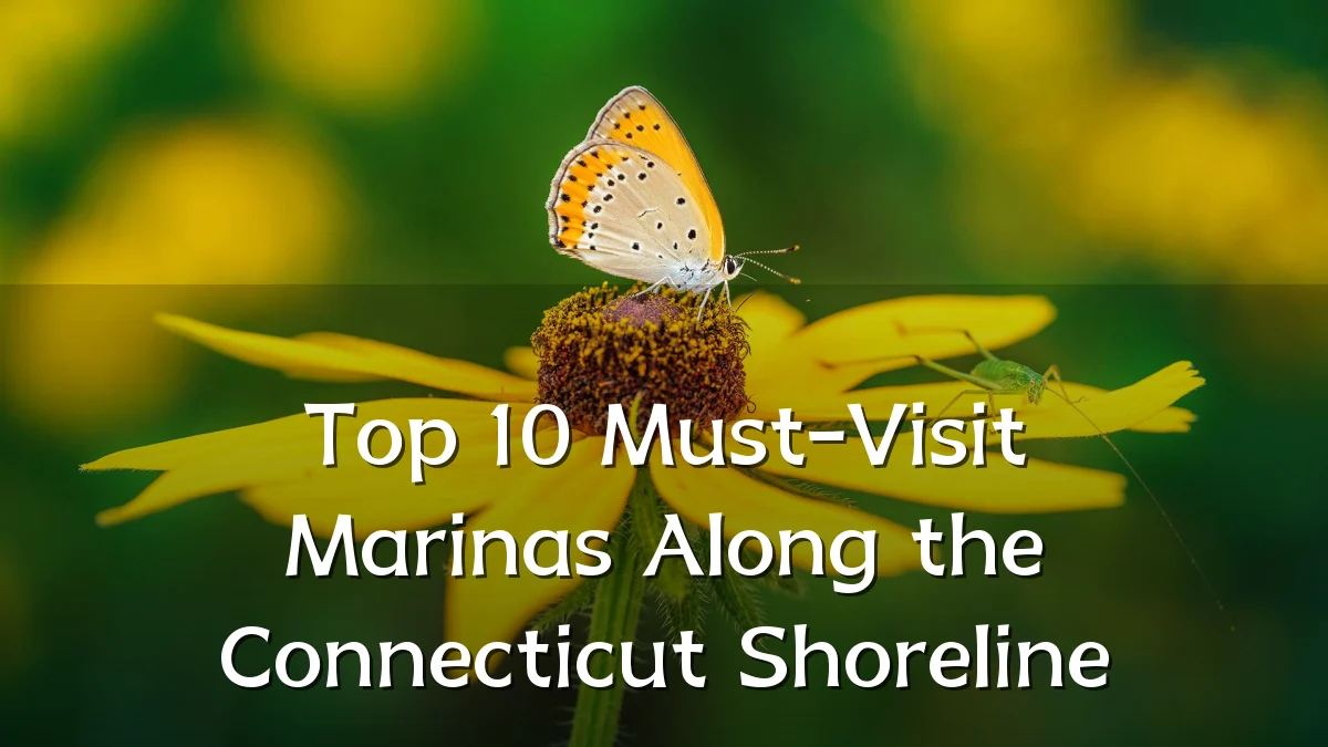 Top 10 Must-Visit Marinas Along the Connecticut Shoreline