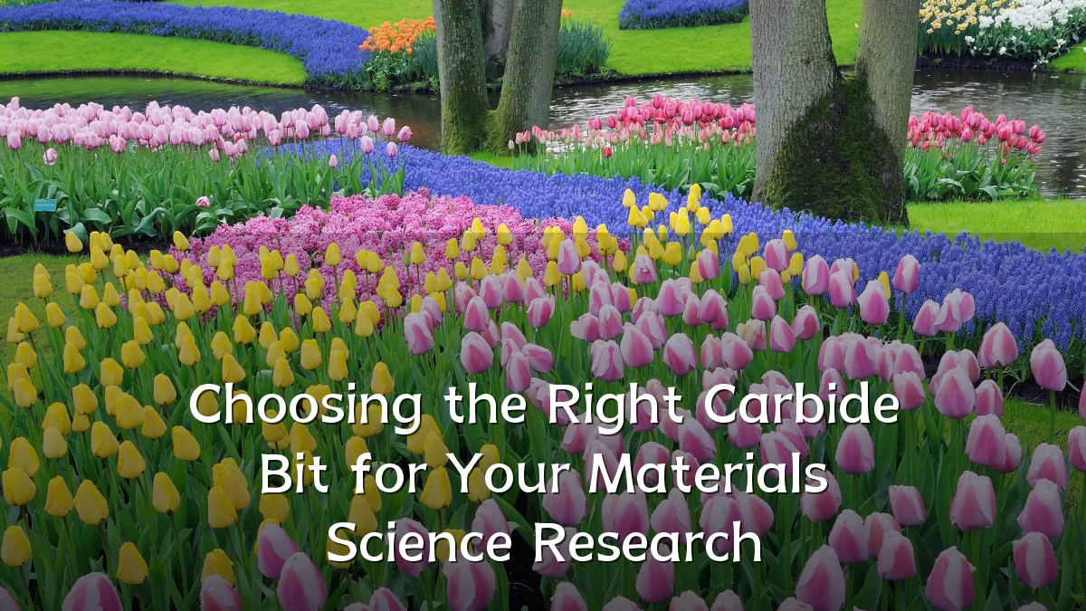 Choosing the Right Carbide Bit for Your Materials Science Research