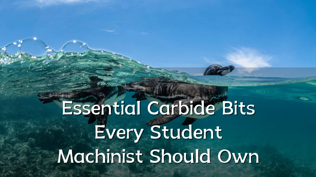 Essential Carbide Bits Every Student Machinist Should Own
