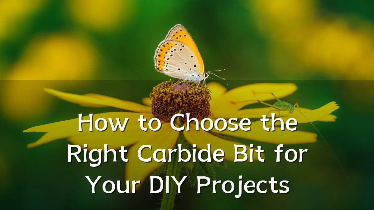 How to Choose the Right Carbide Bit for Your DIY Projects