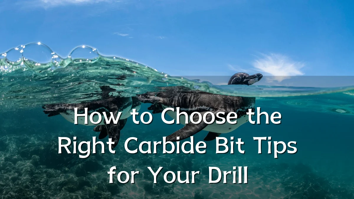 How to Choose the Right Carbide Bit Tips for Your Drill