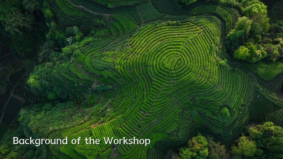 Background of the Workshop