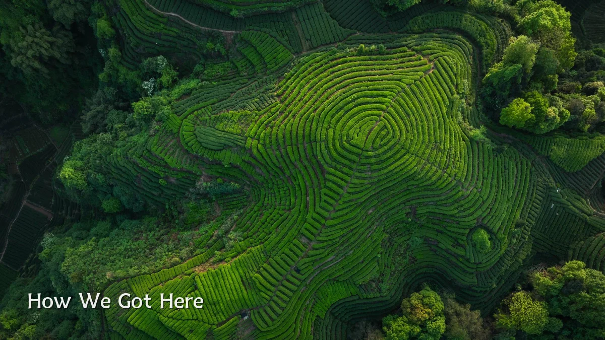 How We Got Here