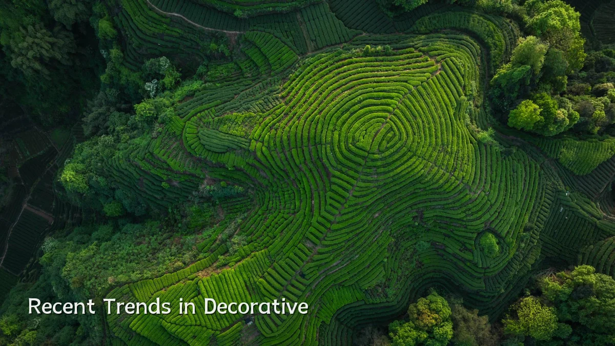 Recent Trends in Decorative