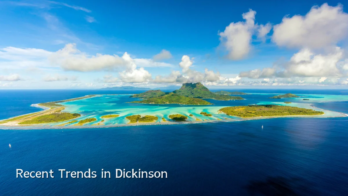 Recent Trends in Dickinson