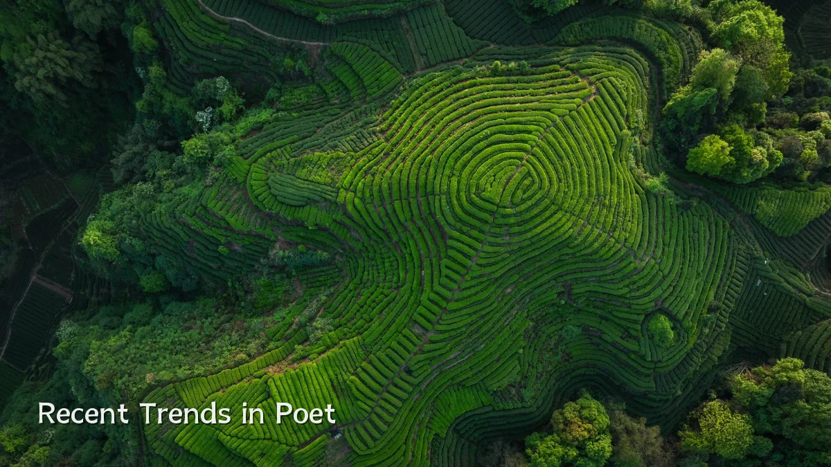 Recent Trends in Poet