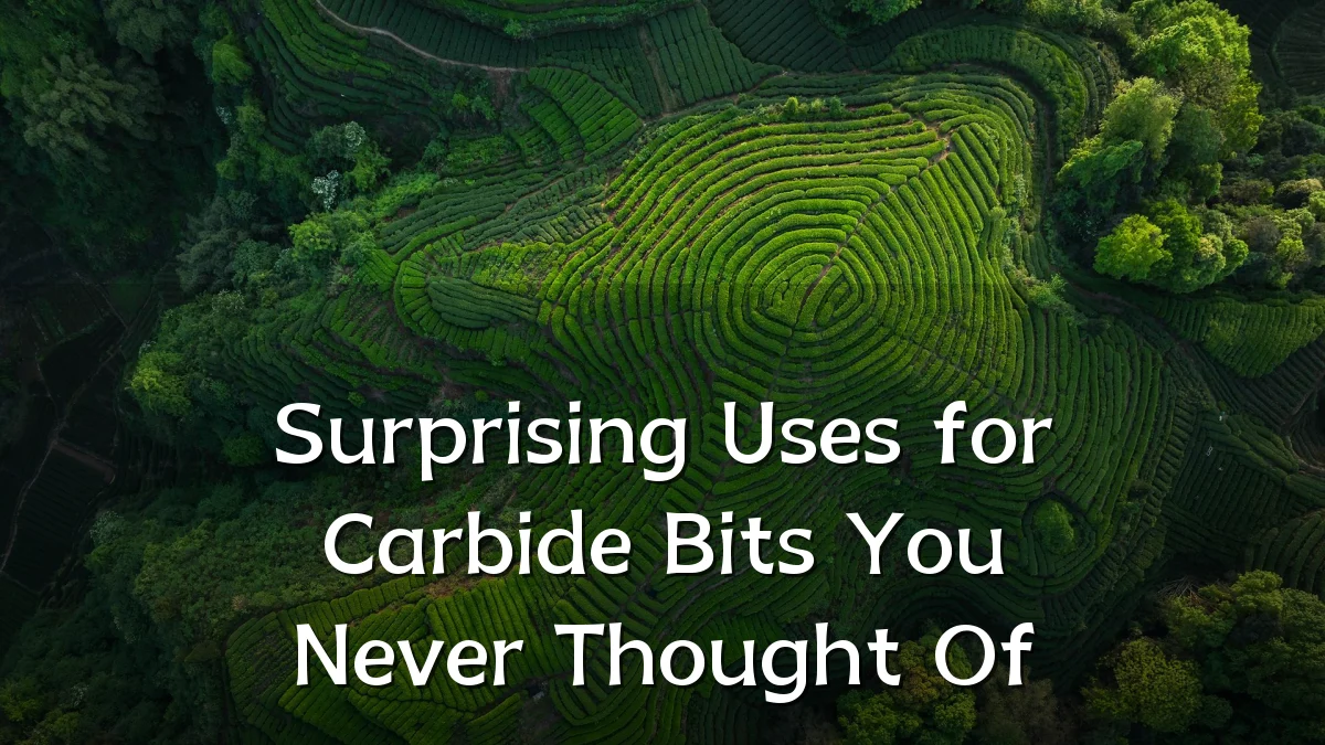 Surprising Uses for Carbide Bits You Never Thought Of