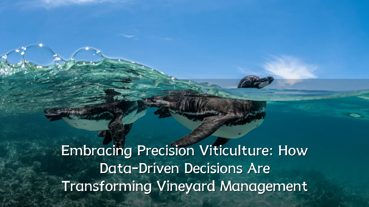 Embracing Precision Viticulture: How Data-Driven Decisions Are Transforming Vineyard Management