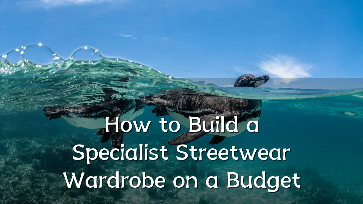 How to Build a Specialist Streetwear Wardrobe on a Budget