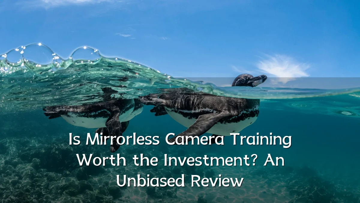 Is Mirrorless Camera Training Worth the Investment? An Unbiased Review