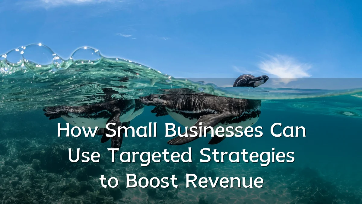 How Small Businesses Can Use Targeted Strategies to Boost Revenue