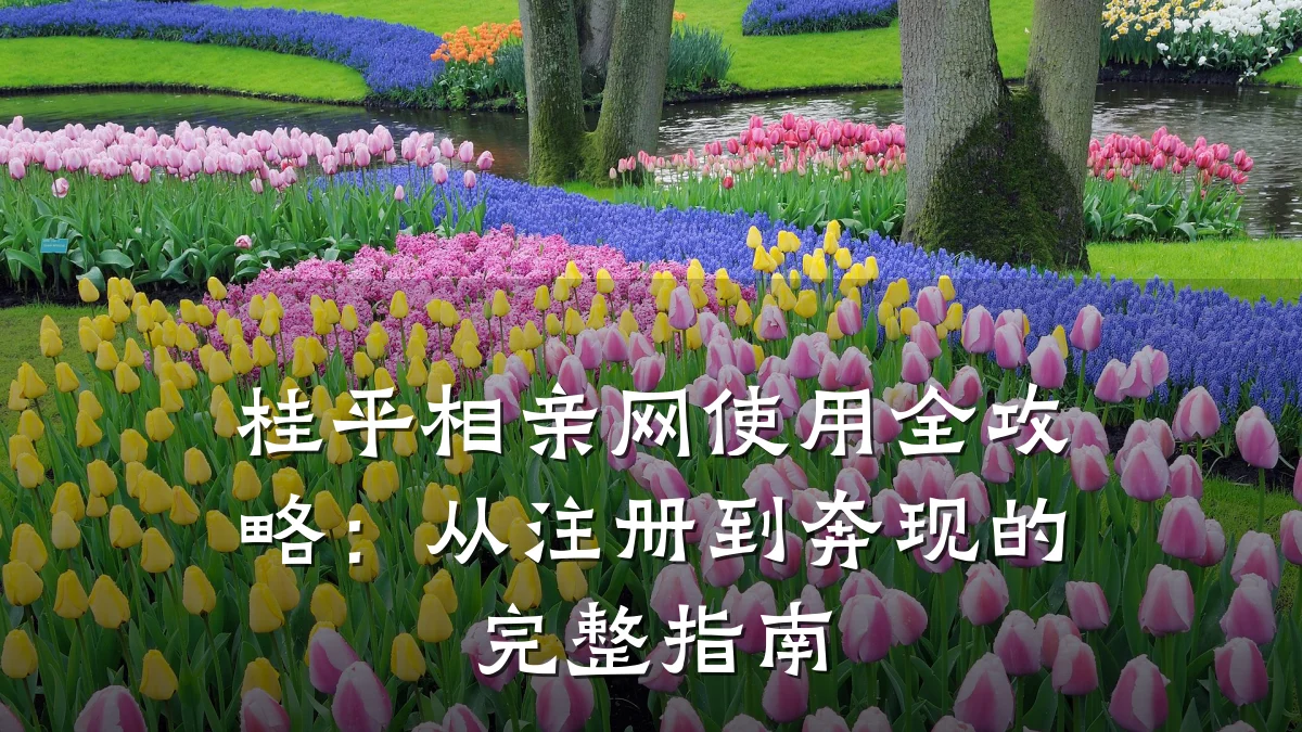 桂平相亲网使用全攻略：从注册到奔现的完整指南