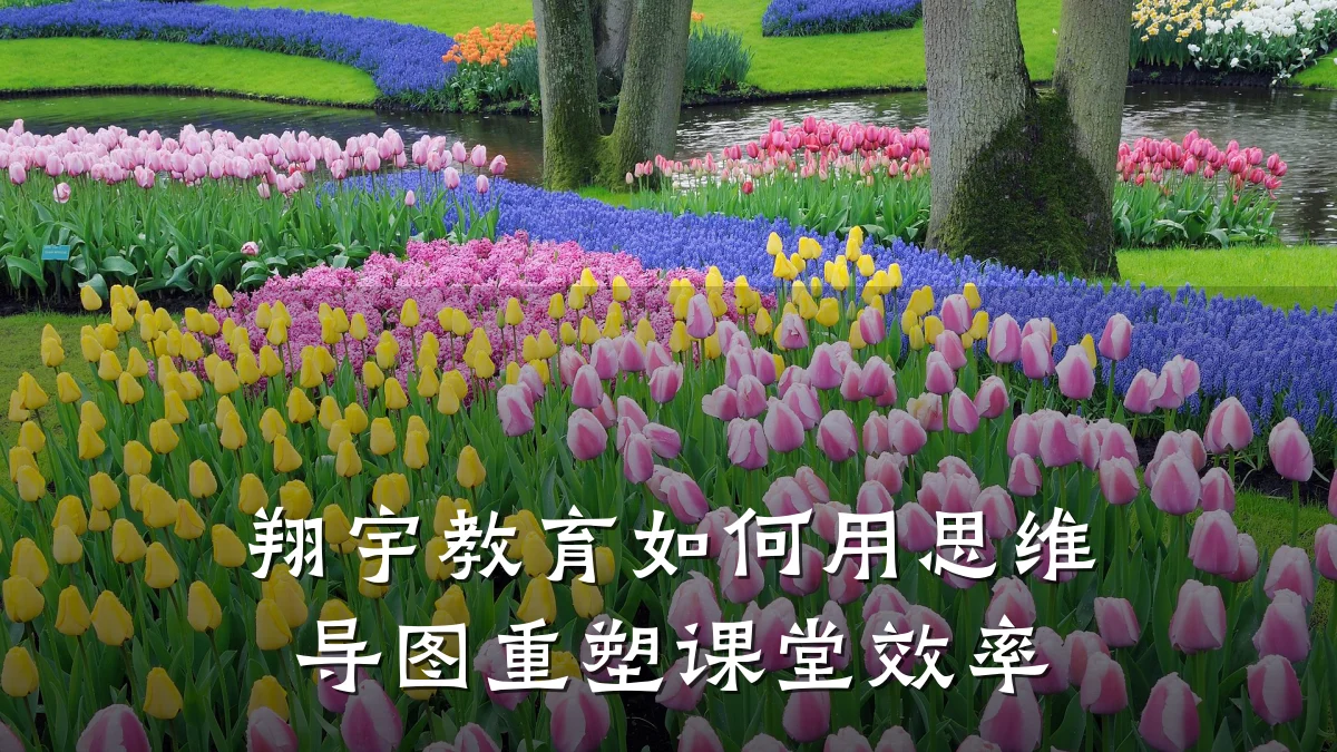 翔宇教育如何用思维导图重塑课堂效率