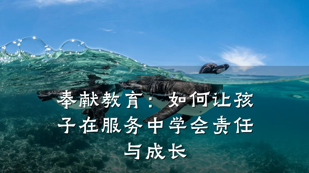 奉献教育:如何让孩子在服务中学会责任与成长