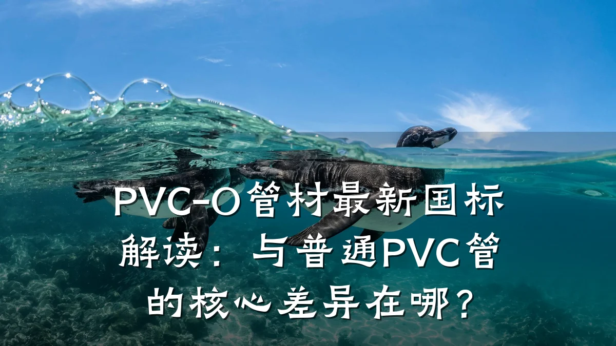 PVC-O管材最新国标解读:与普通PVC管的核心差异在哪?